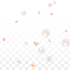 Vector Realistic Petals and Hearts Confetti. Flying Sakura and Hearts on Transparent Background. Wedding Invitation Background. Spring Romance Poster. Vector Illustration for Anniversary Design.
