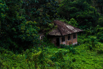 Fototapeta na wymiar Forgotten cottage in Ubud