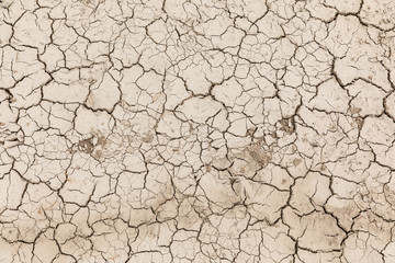 Dry soil cracks desert ground drought