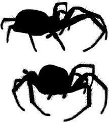 two black small spiders illustration