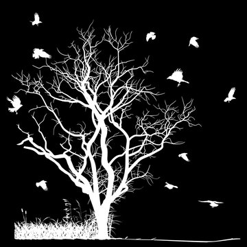 white dry large tree and crows silhouettes on black