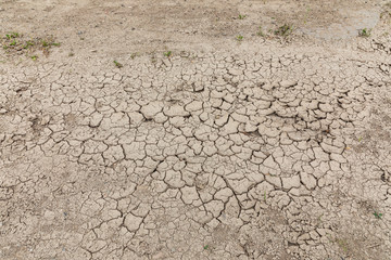Dry soil cracks desert ground drought