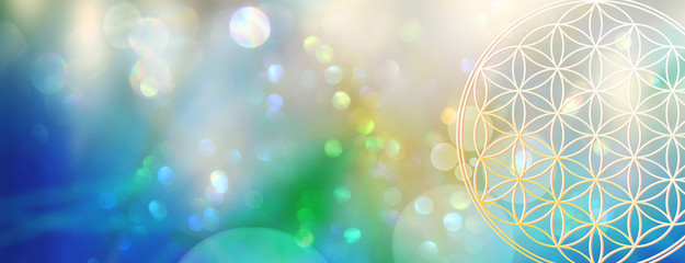 Banner: Blume des Lebens erstrahlt aus der Tiefe eines  glitzernden Lichterfelds