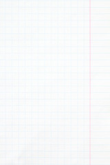 White checkered exercise book sheet of paper texture background. Vertical picture.