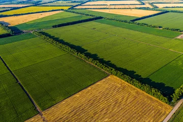 Türaufkleber Aerial Flying Over corn, sunflowers, soybean and fields with straw bales © ArtSvitlyna