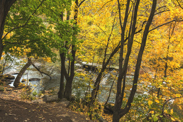 Obraz na płótnie Canvas Terrific view of the River Canyon on a sunny fall day