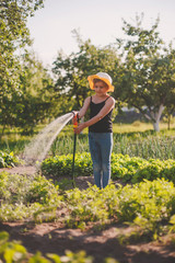 Girl watering   garden in   village in   summer.