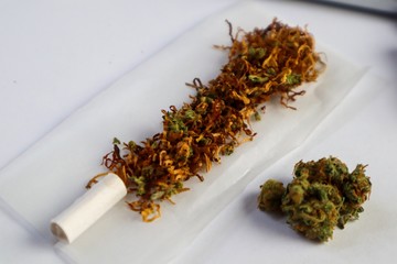 Smokers concept , rolling a blunt with cannabis lighter and rolling paper,