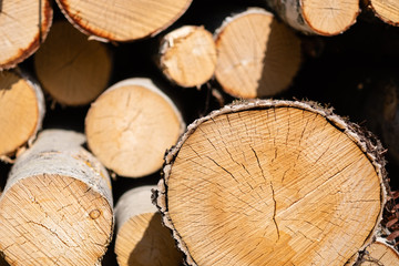 pile of logs