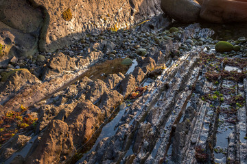 Marine rock formations (Zumaia, Basque Country, Spain)