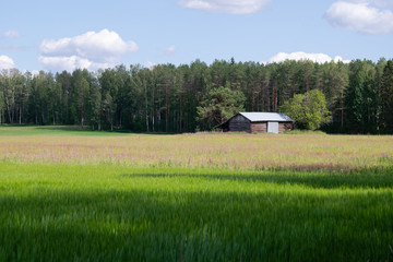 old farm house in a field