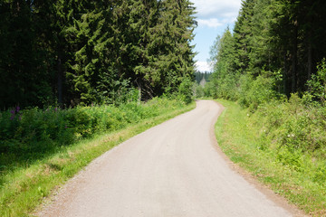 road in the forest