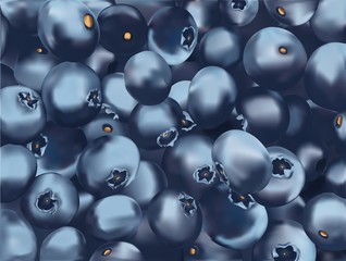 Beautiful blueberry Background. 3d fresh realistic berry. Texture blueberry close up. Border design. Summer fruits. Banner. Vector illustration.