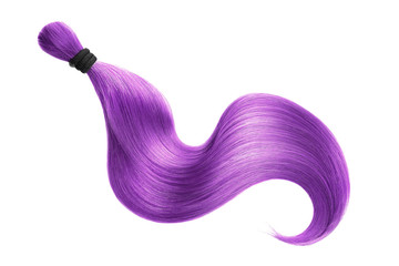 Purple hair isolated on white background. Long ponytail