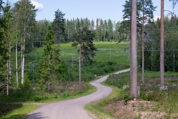 road in the forest
