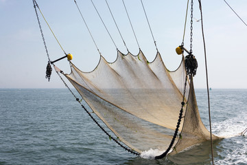 View on a fishing net used for fishing shrimps on the wadden sea, Texel, the Netherlands. It's a touristic and recreational activity for visitors of Texel.
