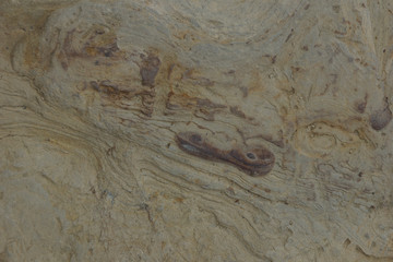 stone marine coastal texture background