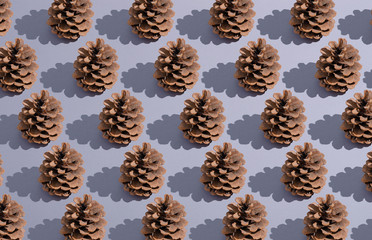 pine cone nature collage set pattern on gray background
