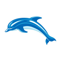 Dolphin_4