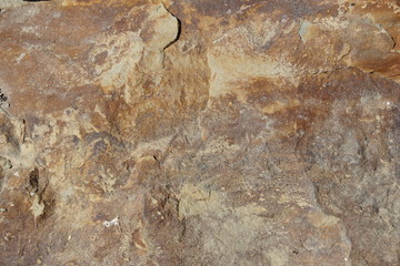 stone marine coastal texture background