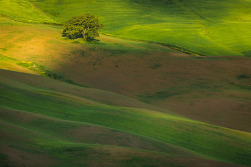 Impressive autumn landscape,view with cypresses Tuscany,Italy