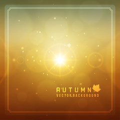 Autumn abstract blurred bokeh and sun light lens flares vector background.