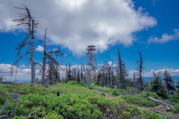 Black Butte Fire Lookout Tower