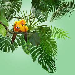 beautiful, yellow Sun Conure between large tropical, exotic jungle leaves, can be used as background