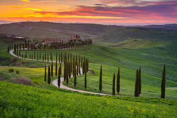 Impressive autumn landscape,view with cypresses Tuscany,Italy