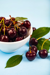 Ripe sweet cherry in a white bowl