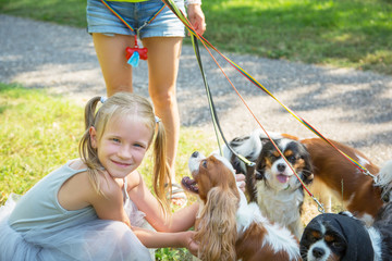 Woman walking a pack of small dogs Cavalier King Charles Spaniel in park. Professional dog walker service. little girl embraces dogs.
