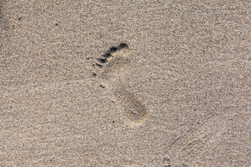 Fototapeta na wymiar Footprint in the Sand Crete beach.