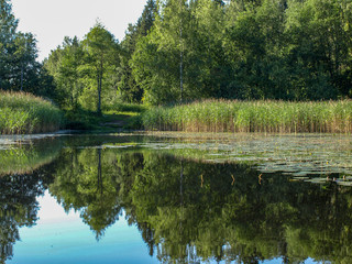 Fototapeta na wymiar beautiful summer landscape with calm lake, reflections of different trees, blue sky, calm water, Latvia
