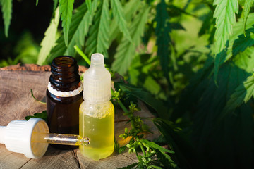 Bottle of CBD oil on cannabis background. Wellness Hemp Cannabidiol. Premium marijuana products. Medical cannabis with extract CBD. A place for copy space.  Natural soft light