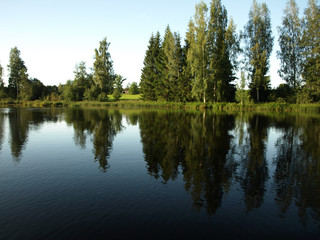 beautiful summer landscape with calm lake, reflections of different trees, blue sky, calm water, Latvia