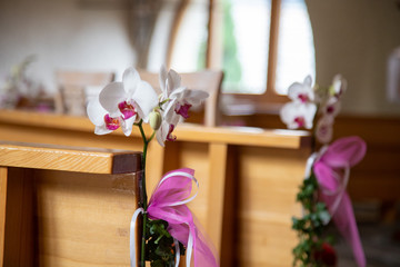Orchidée dans une église pour une cérémonie