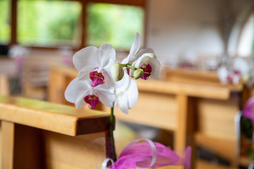 Orchid&eacute;e dans une &eacute;glise pour une c&eacute;r&eacute;monie