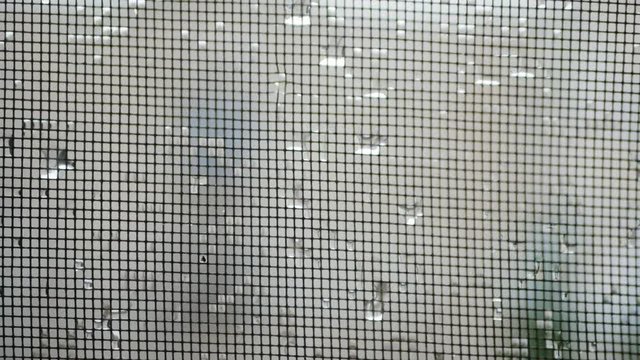 raindrops on mosquito net.mosquito net