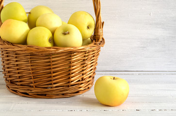 Harvest ripe apples in the basket on the grass.