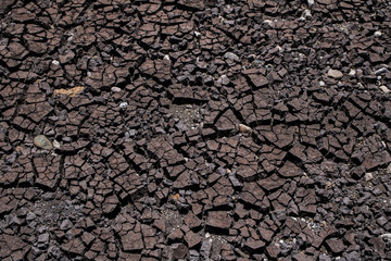 The soil is dry and cracked texture. Abstract background