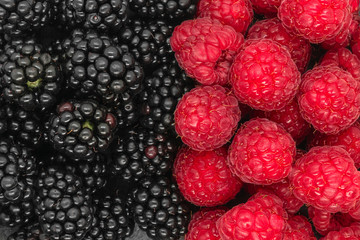 Background of blackberries and raspberries