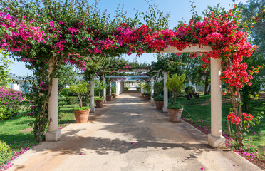 Fototapeta premium Luxury resort and golf retreat in rural area Sicily, Italy.