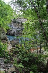 High stone wall in canyon and forest trees