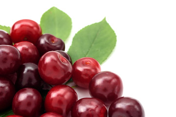 Ripe cherry berries on a white background, close-up