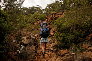 Rear view girl with backpack and hiking sticks walking up on the rocks