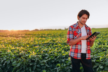 Agronomist standing in field holding a ipad and looking in the screen. -Image