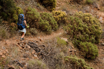 Rear view girl with backpack and hiking sticks walking on the rocky path