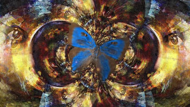 Under butterfly wing. Moving abstract art