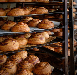 Making of panettone bread at the local bakery. Fresh puff pastry rolls with ham and cheese on baking pan board. A tray with bakery rolls products.
