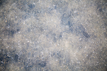 Background of polished granite white smoky color with lilac black specks. Backgrounds texture design.